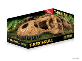 Refugio Fosil Craneo T-Rex Exo Terra